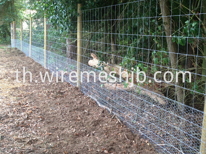 1.8M Field Fence